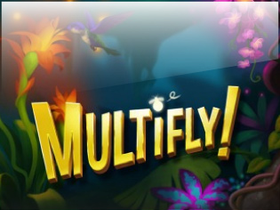 Multifly